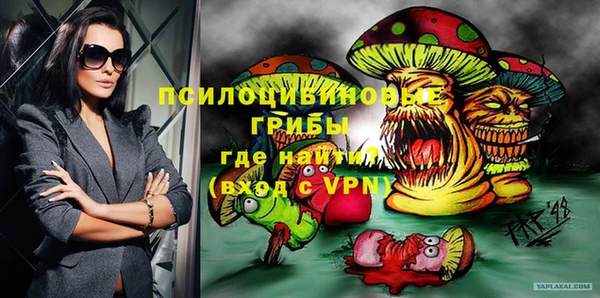 индика Кинешма