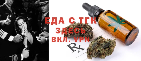индика Кинешма