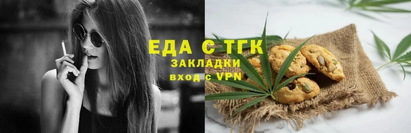 индика Кинешма