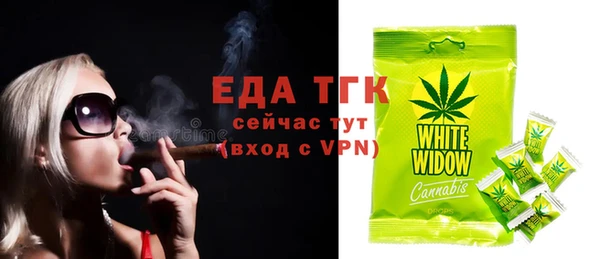 индика Кинешма