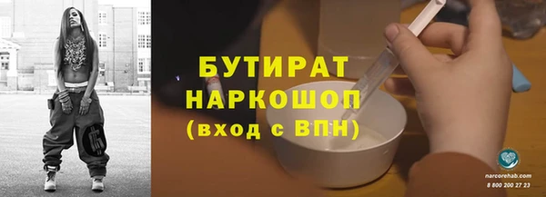 индика Кинешма