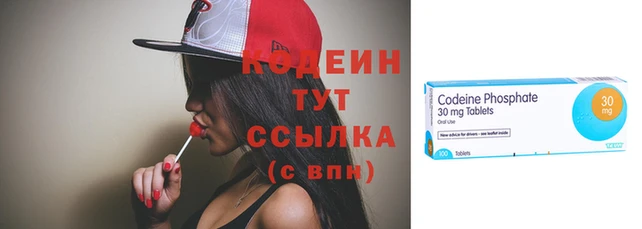 индика Кинешма