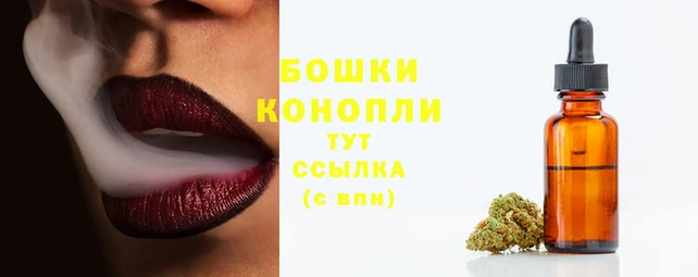индика Кинешма