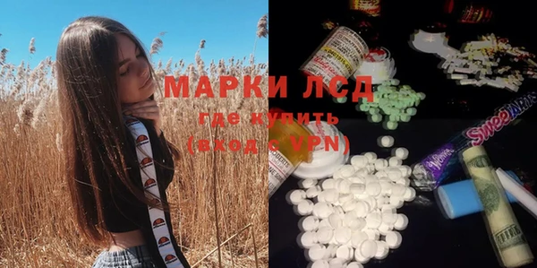 индика Кинешма
