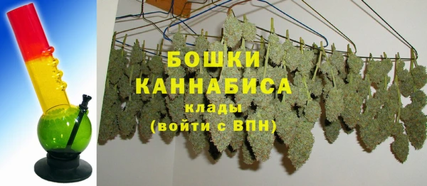 индика Кинешма