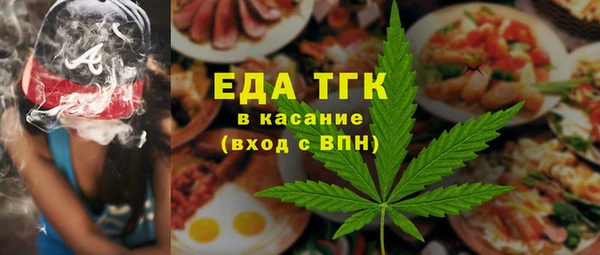 индика Кинешма