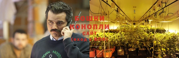 индика Кинешма
