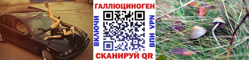 Купить где  Черногорск  Псилоцибиновые грибы Psilocybe 